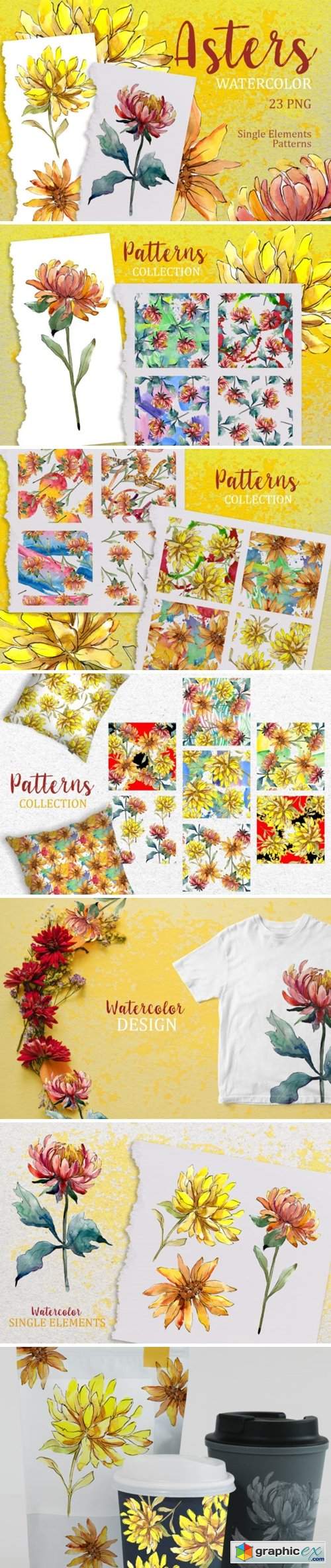 Yellow Watercolor Asters PNG Set