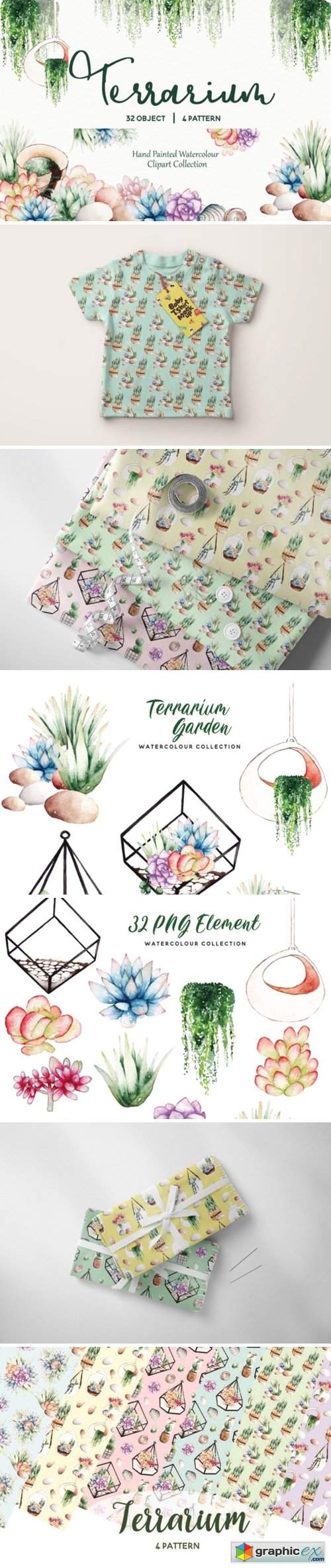 Succulent Terrarium Watercolor