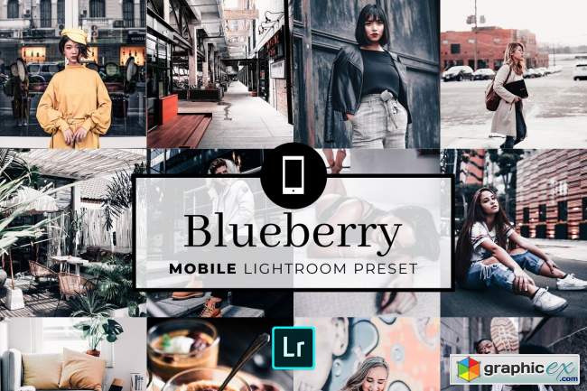 Mobile Lightroom Preset Blueberry