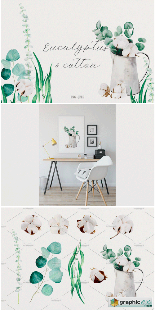 Eucalyptus & Cotton Watercolor Set