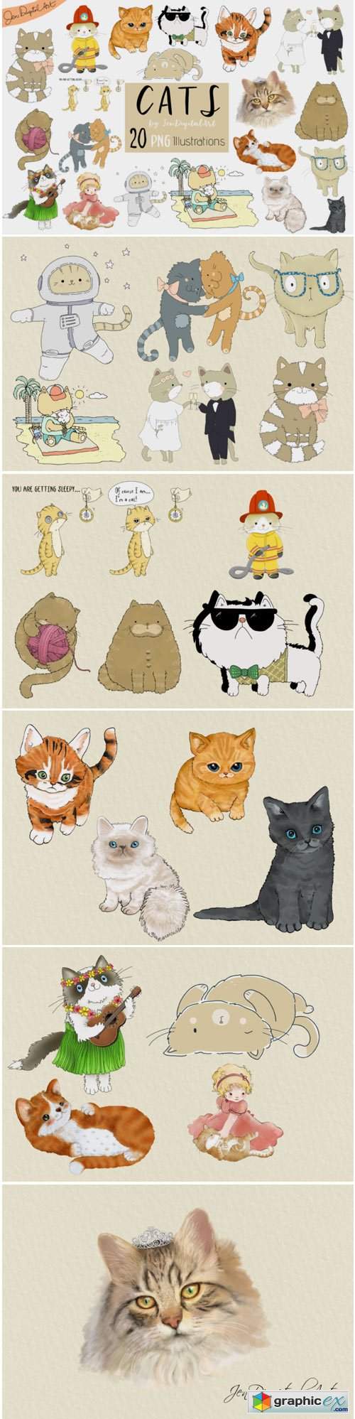 Cats 20 Assorted Illustrations
