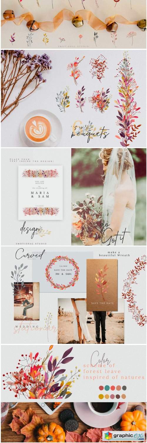 Fall in Love Watercolor Collection