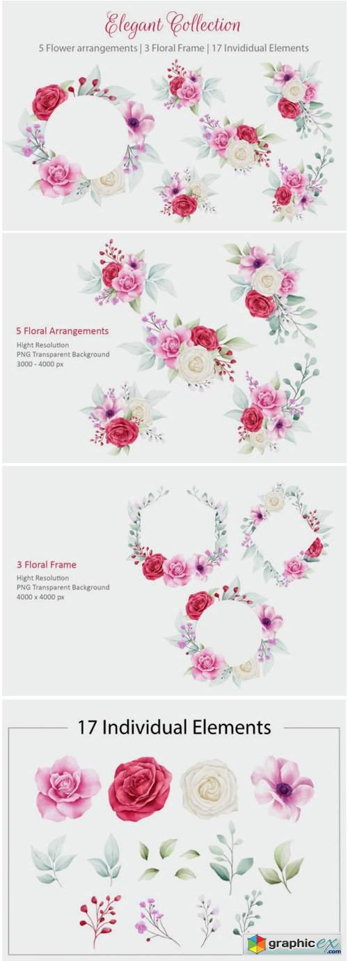 Elegant Watercolor Flowers Collection