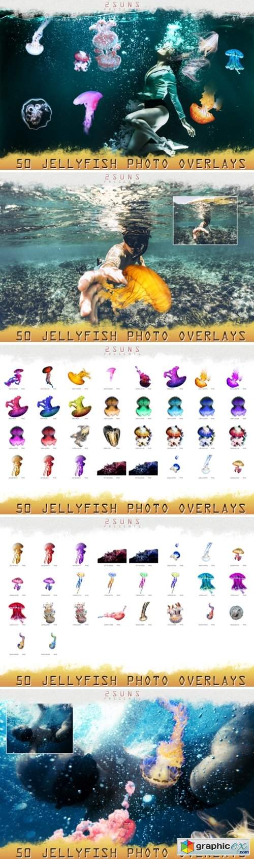 50 Jellyfish Overlays