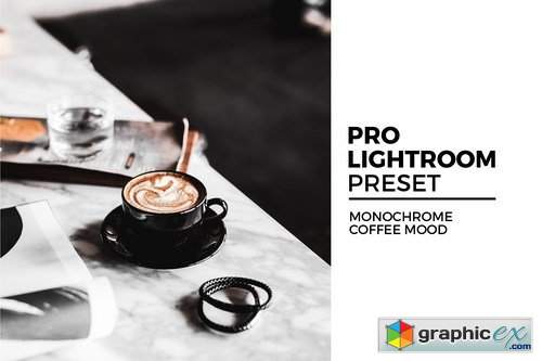 Monochrome Coffee Mood Lightroom Preset