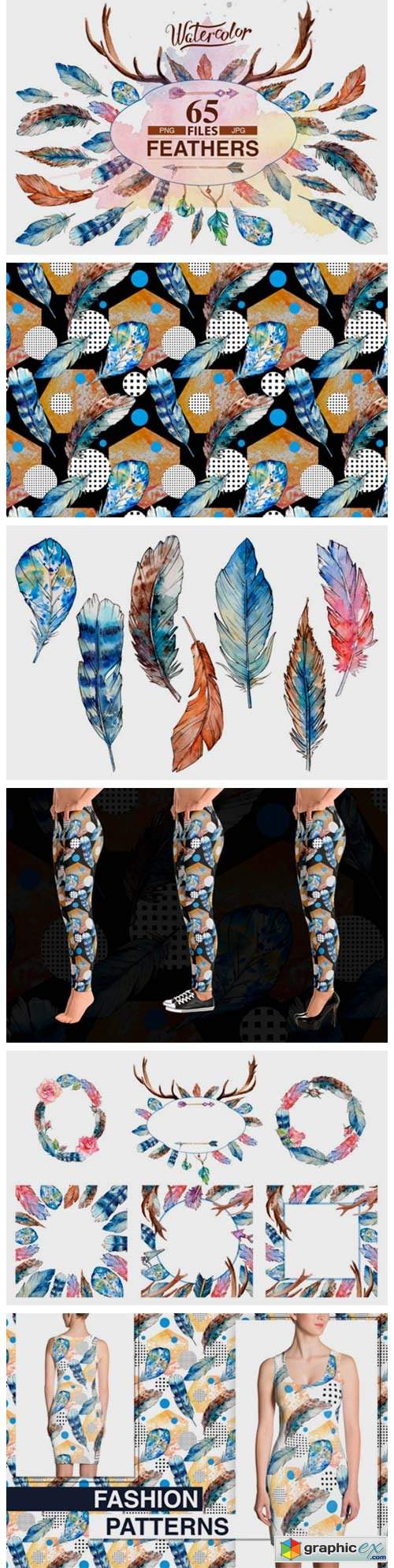 Feather PNG Watercolor Bird Set