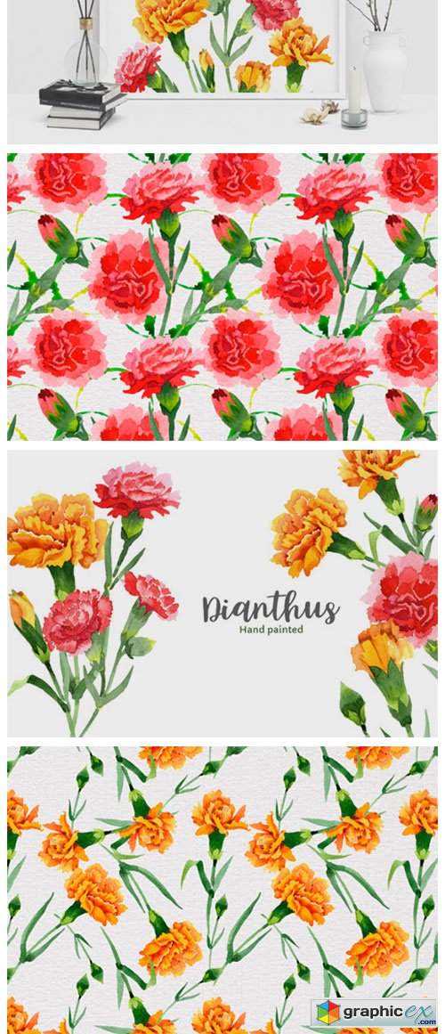 Carnation Red Flowers Illustration