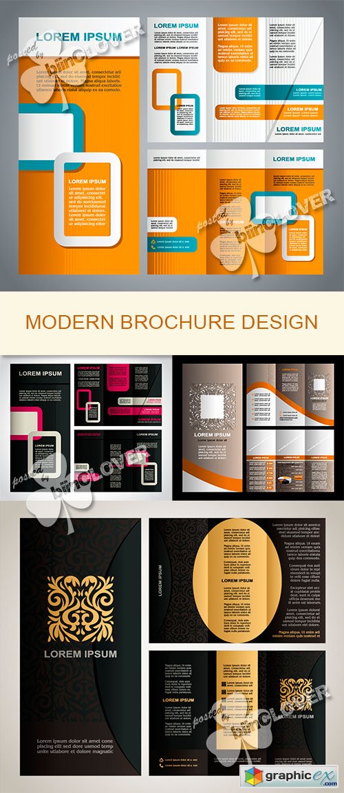 Vector Modern brochure design 0520