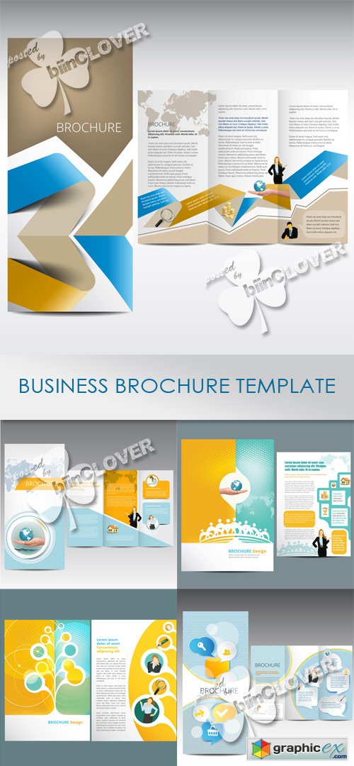 Vector Business brochure template 0506