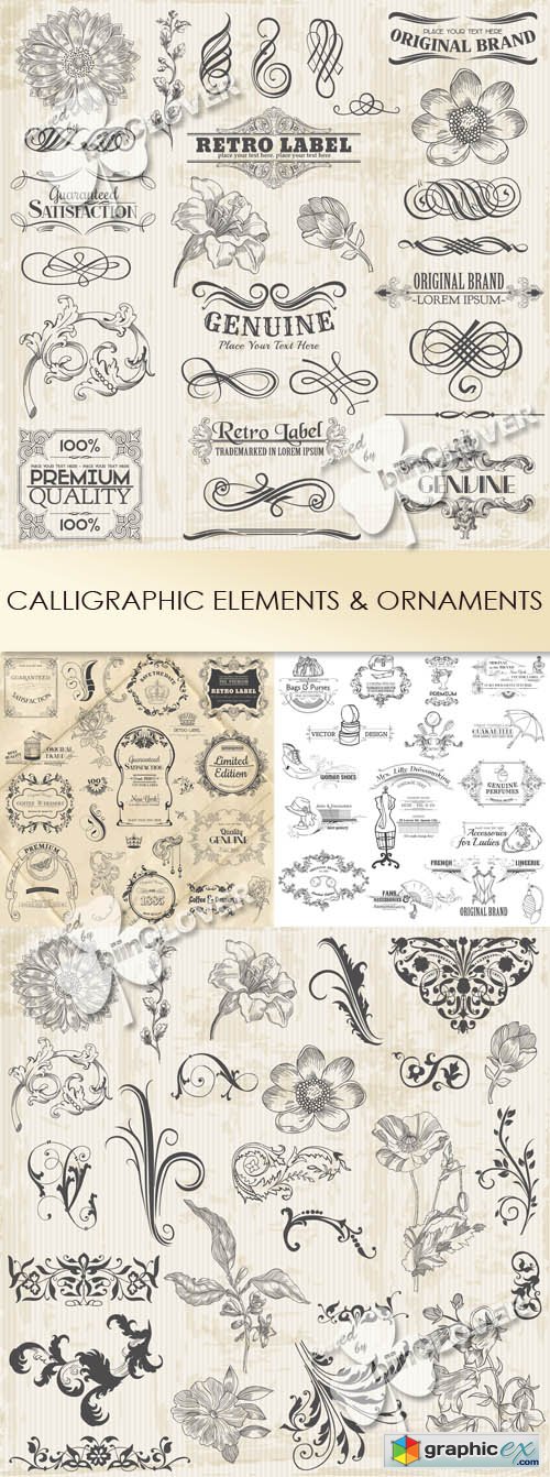 Vector Calligraphic elements and ornaments 0443