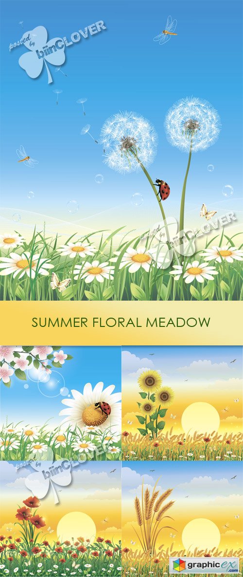 Vector Summer floral meadow 0440