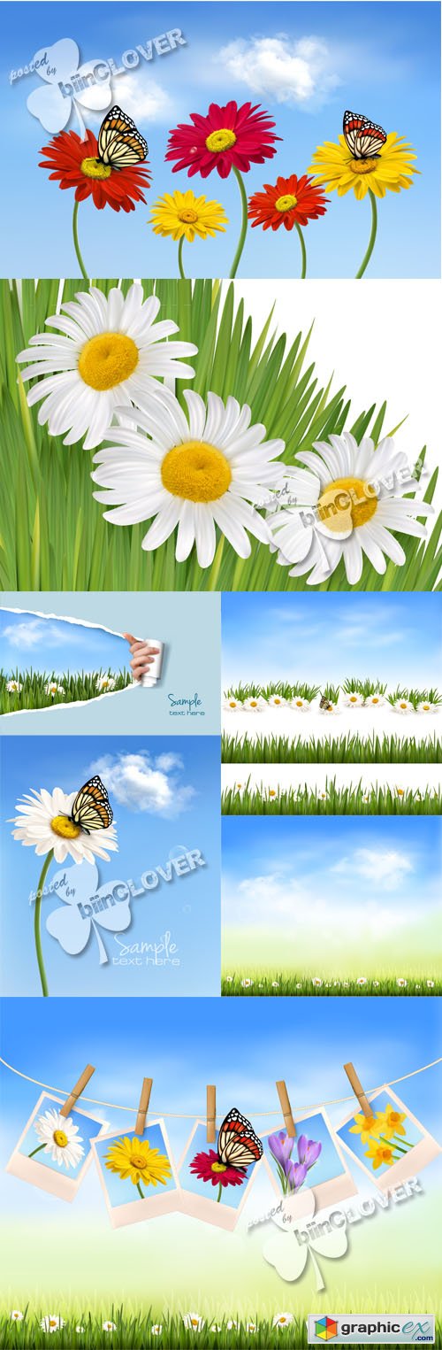 Vector Summer background with flowers and butterflies 0429