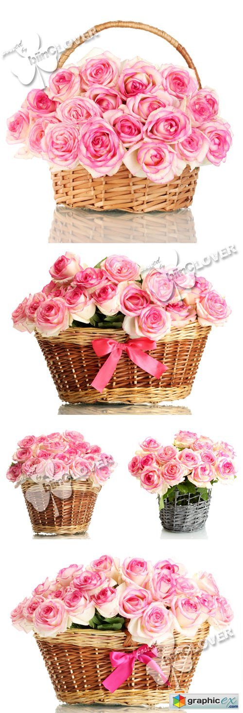 Pink roses in basket 0388