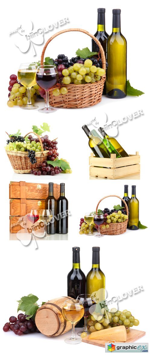 Bottles of wine and grapes 0381