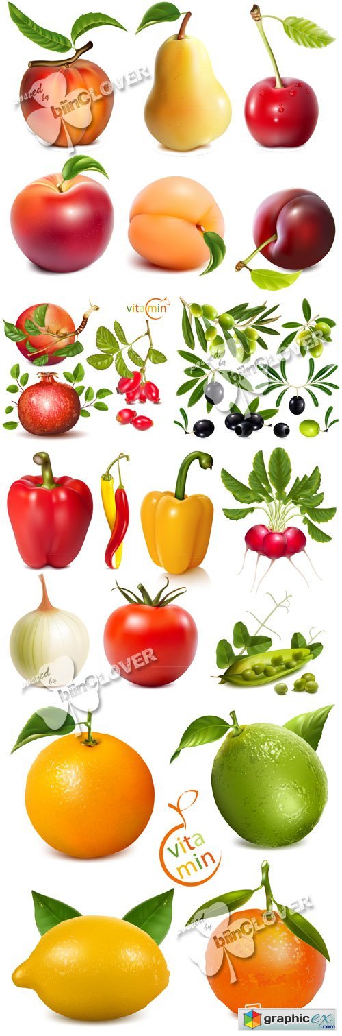 Vector Fruits and vegetables 0376