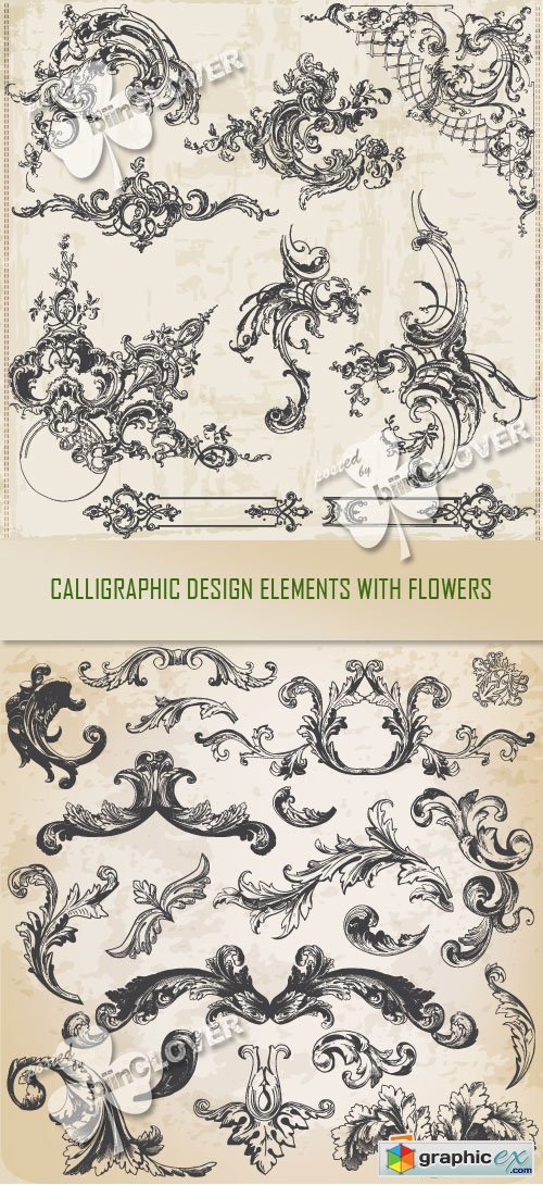Vector Calligraphic design elements with flowers 0356