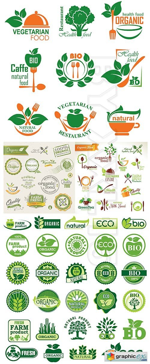 Vector Organic food labels