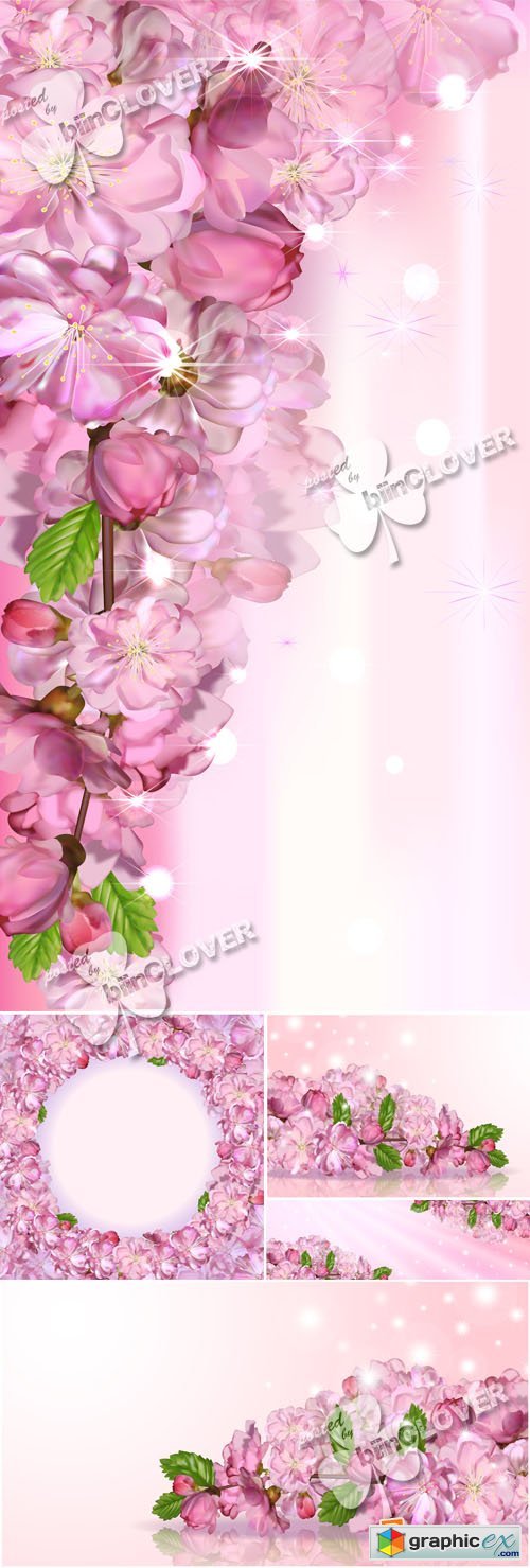 Vector Japanese cherry blossom 0562