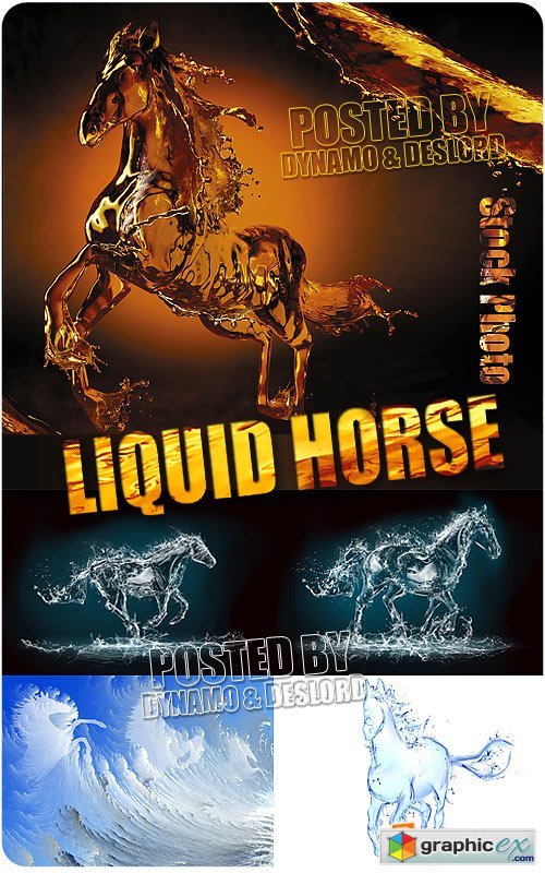 Liquid horse - UHQ Stock Photo