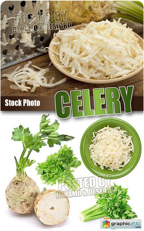 Celery - UHQ Stock Photo