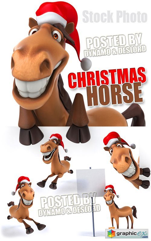 Christmas horse - UHQ Stock Photo