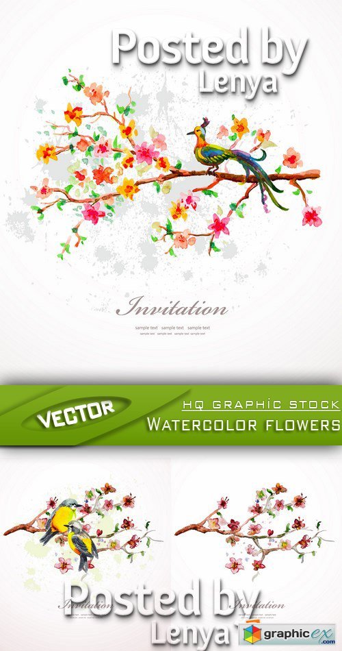 Stock Vector - Watercolor flowers