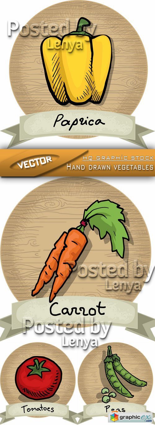 Stock Vector - Hand drawn vegetables