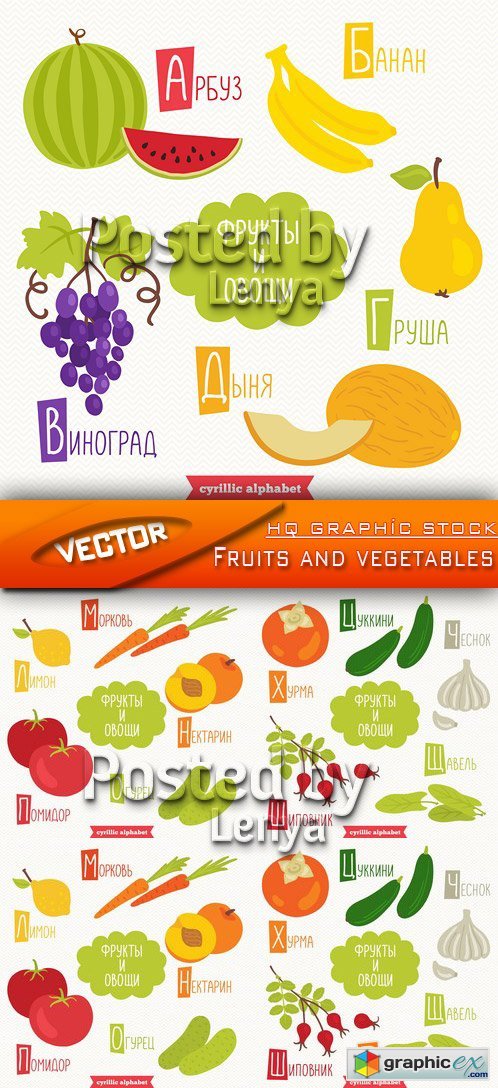 Stock vector - Fruits and vegetables 01