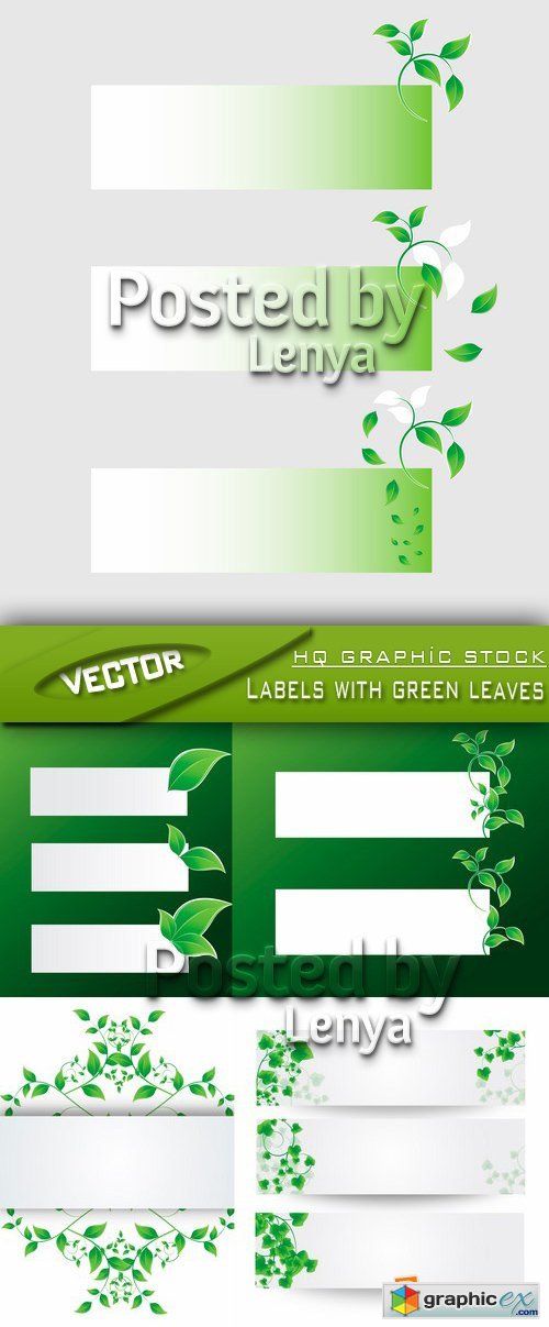 Stock Vector - Labels with green leaves