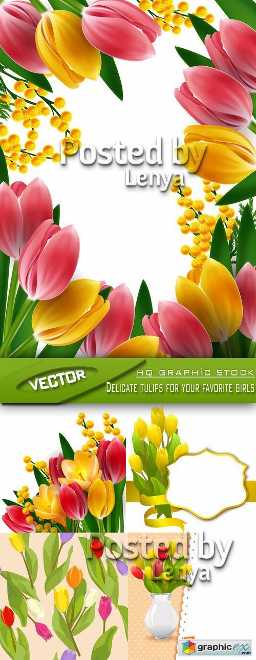 Stock Vector - Delicate tulips for your favorite girls
