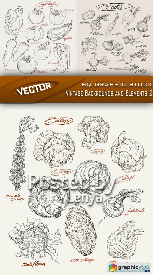 Stock Vector - Vintage Backrounds and Elements 2