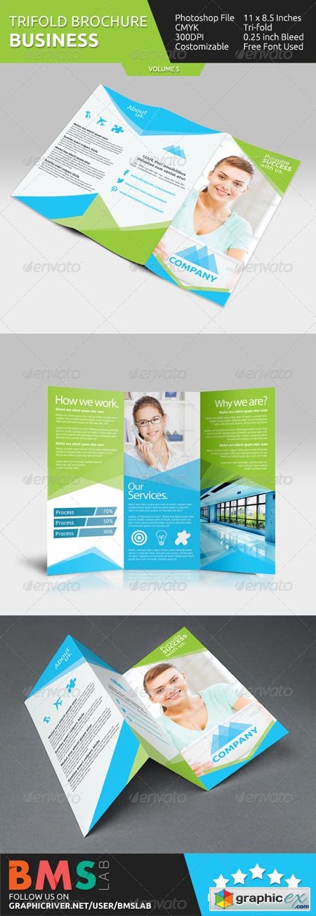 Business Tri-fold Brochure - V5 6958147