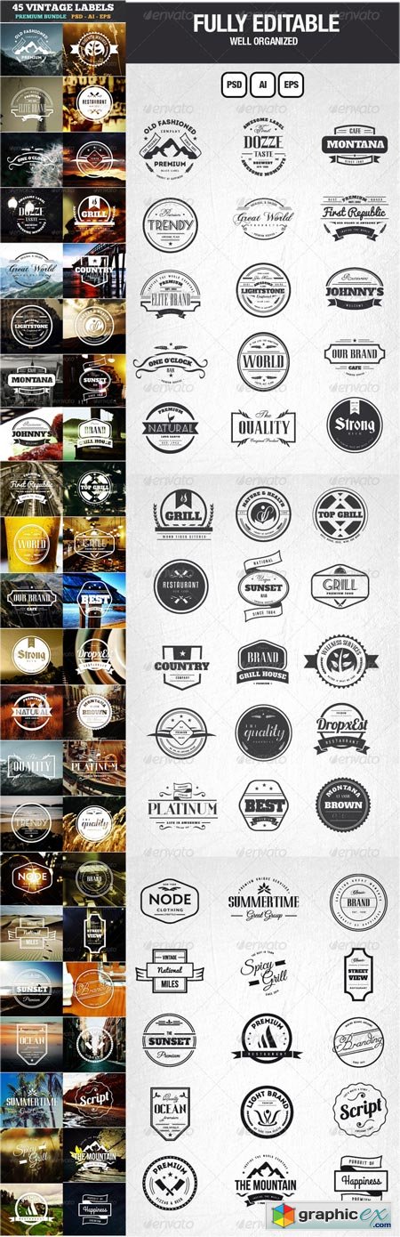 45 Vintage Labels & Badges Logos Bundle 6806495