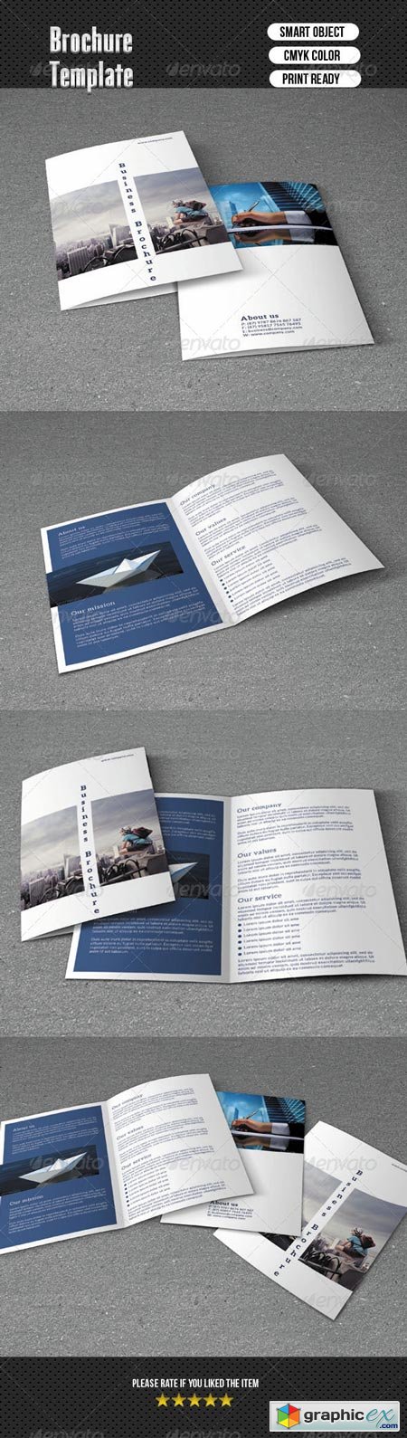 Bifold Brochure-Business 6393444
