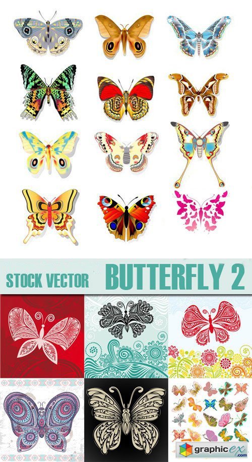 Stock Vectors - Butterfly 2, 25xEps