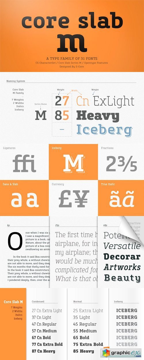 Core Slab M Font Family - 31 Fonts for $380