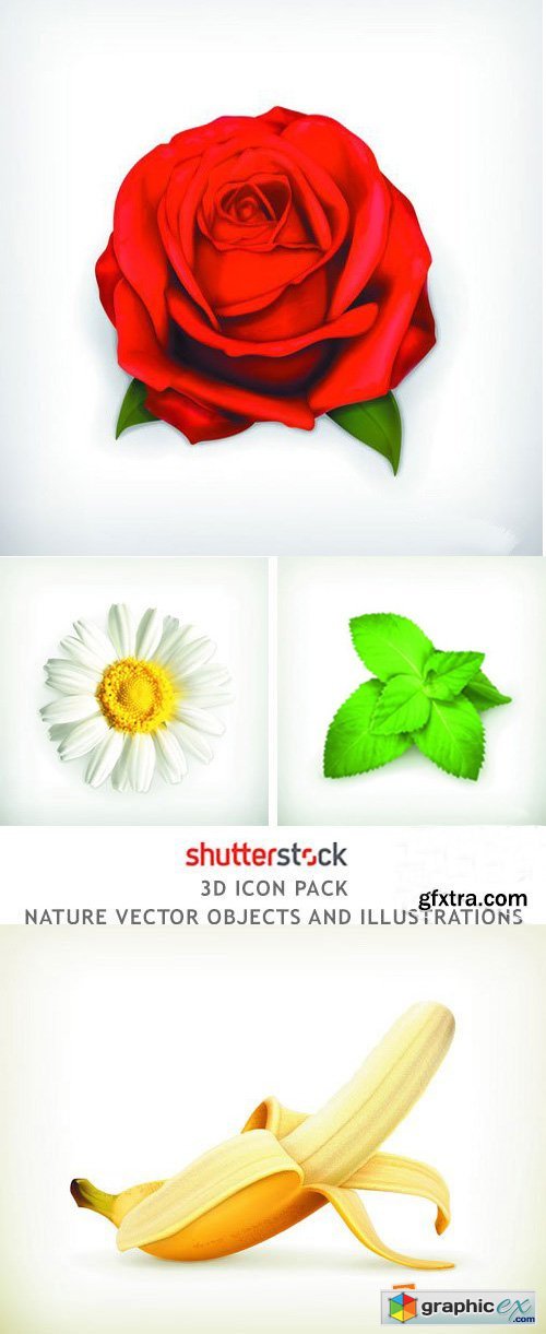 Nature Vector Objects and Illustrations - 25xEPS