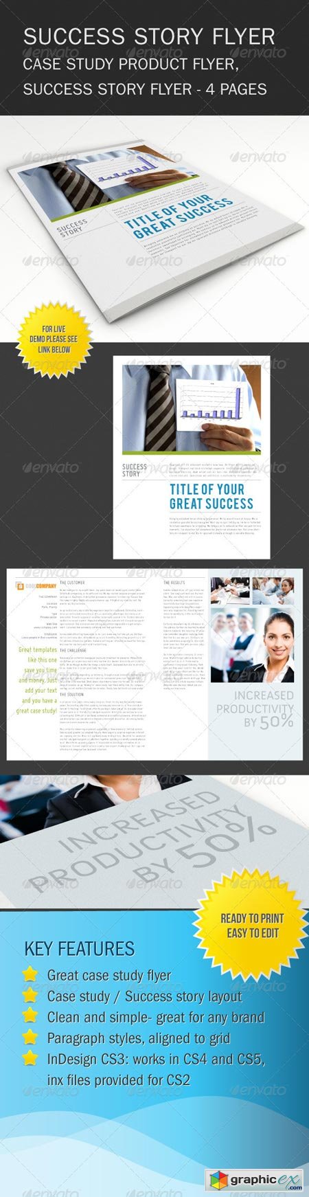 Success Story Brochure Flyer 602865