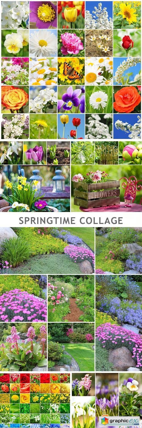 Springtime Collage - 25xJPG