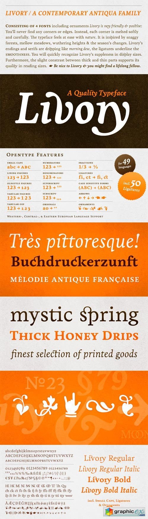 Livory Font Family - 4 Fonts for $129