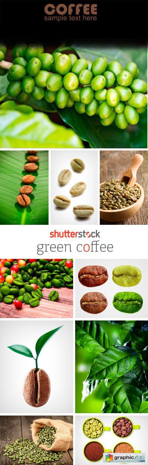 Amazing SS - Green Coffee, 25xJPGs