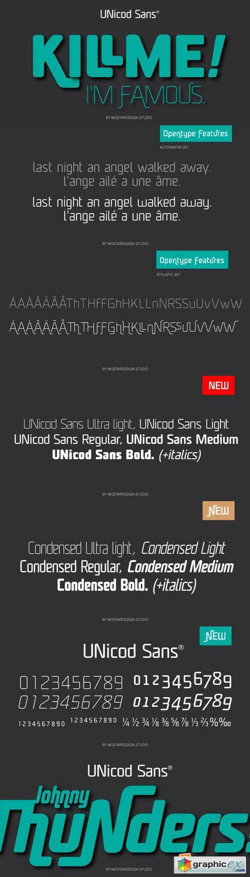 Unicod Sans Font Family - 18 Fonts for $299