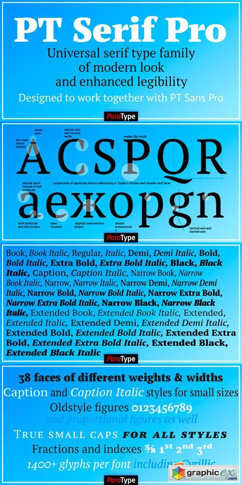 PT Serif Pro Font Family - 38 Fonts for $1000