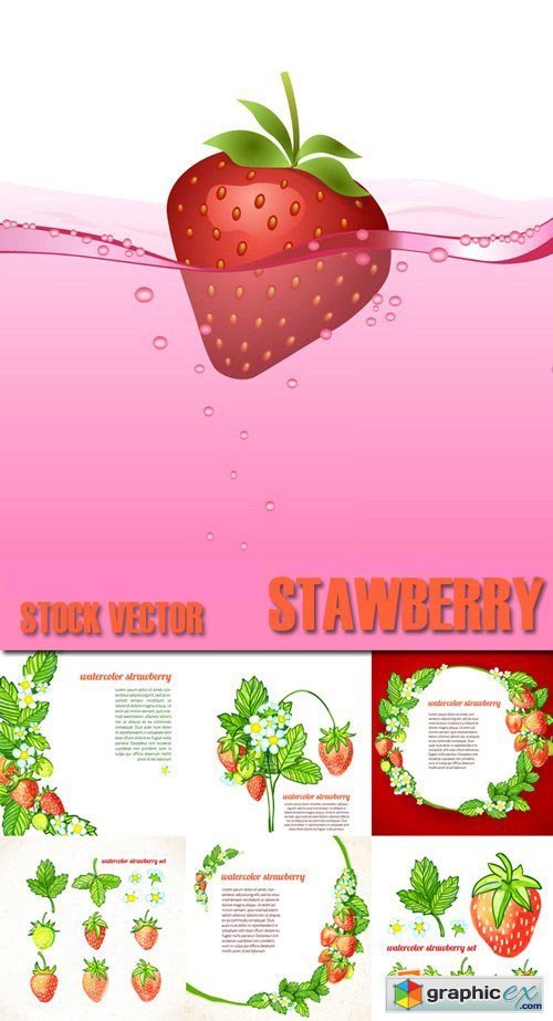 Shutterstock - Stawberry, 25xEps