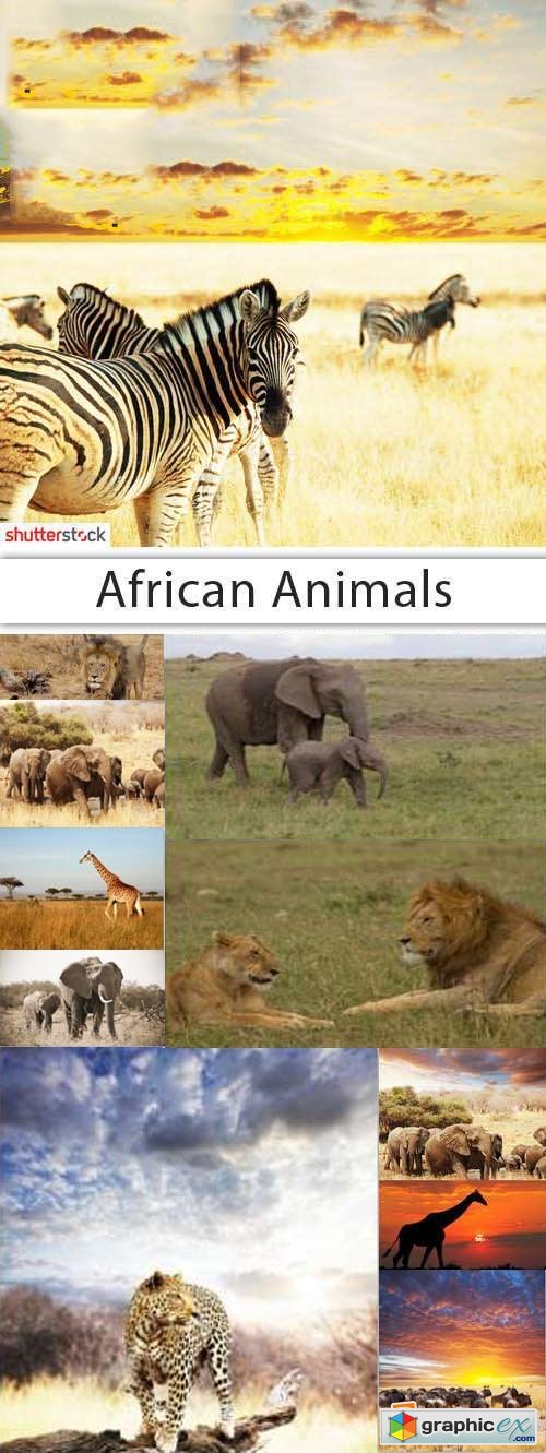 African Animals 30xJPG