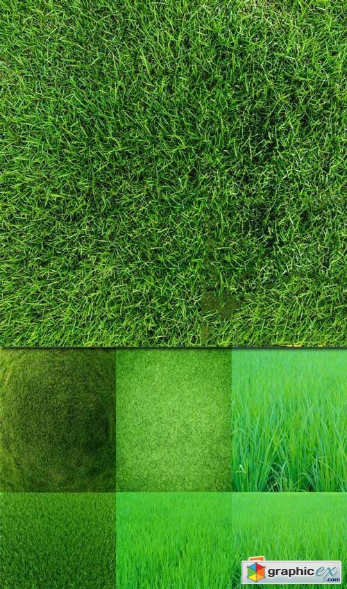 Shutterstock - Grass, 25xJpg