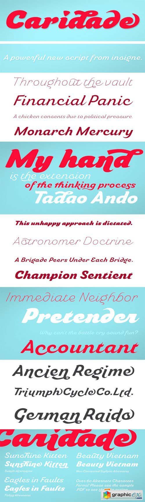 Caridade Font Family - 6 Fonts for $82