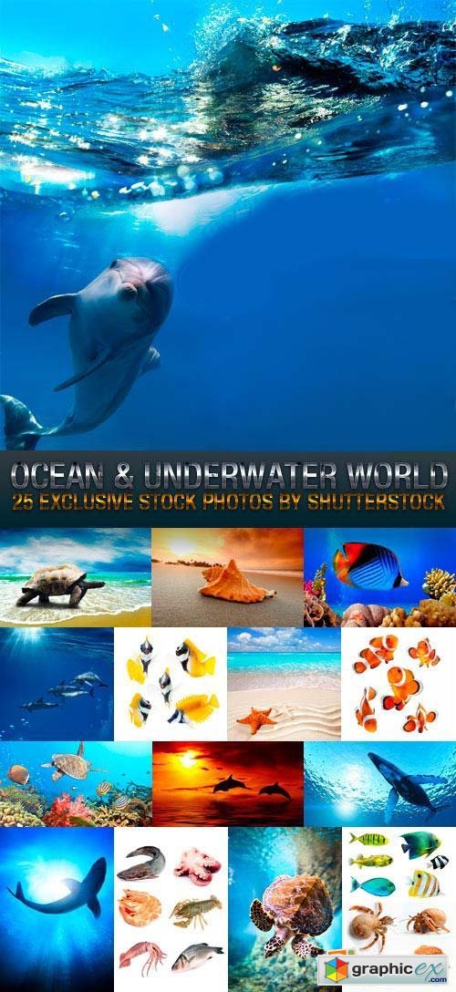 Ocean & Underwater World 25xJPG