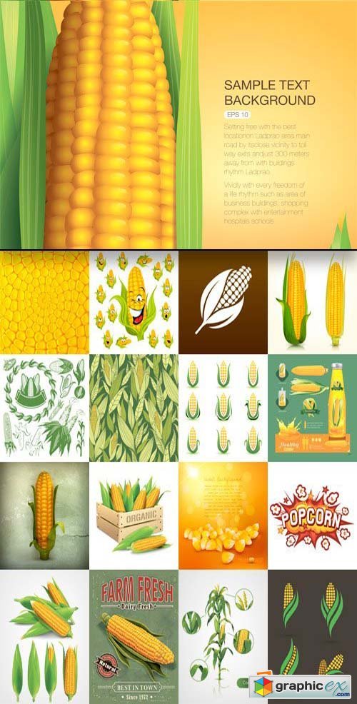 Corn Elements 25xEPS