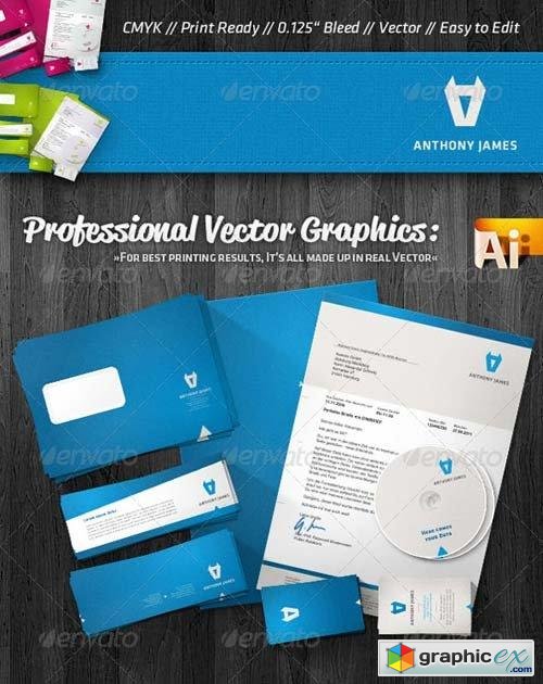 Professional Agency Corporate Identity Package